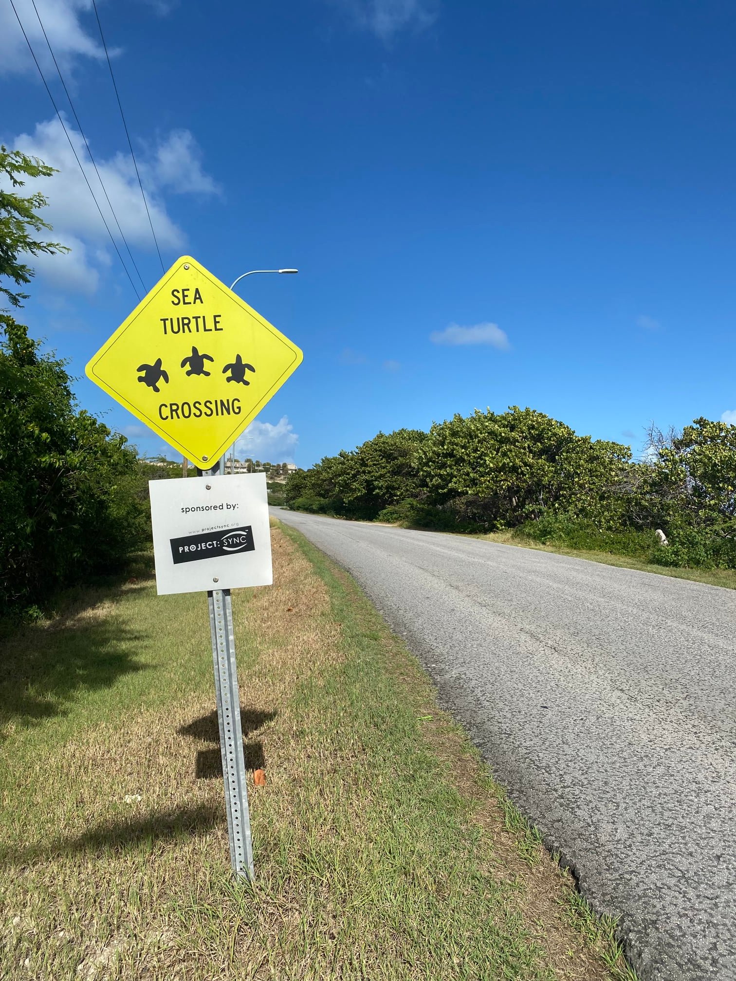 Znak kao upozorenje na kornjače