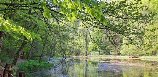 Kampirajte u Zlatnoj dolini – odmorite tijelo i duh od ljetne gužve
