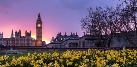 Žuto cvijeće u Londonu