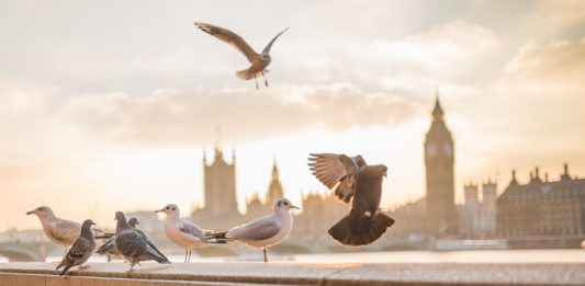 How To Relax and Recharge in London