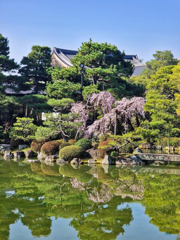 Japan u vrijeme 'sakure'