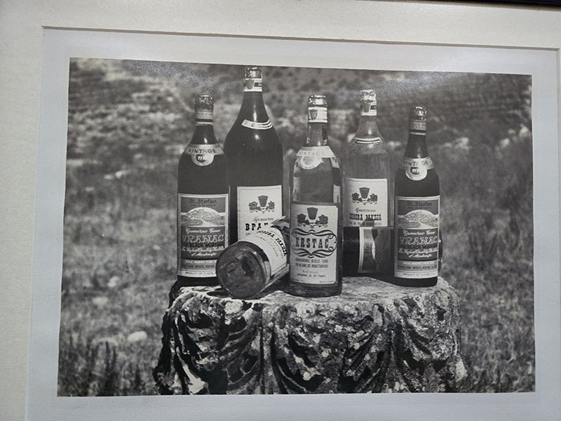 Crna Gora vina
