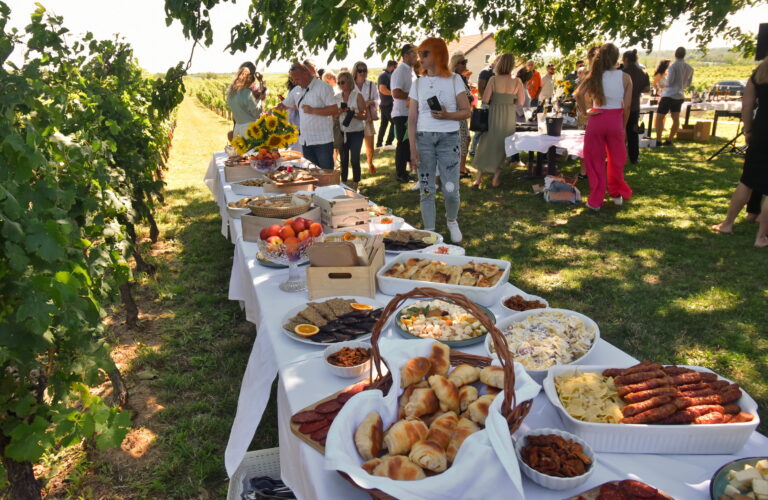 Srijemski pjenušavi doručak u vinogradu