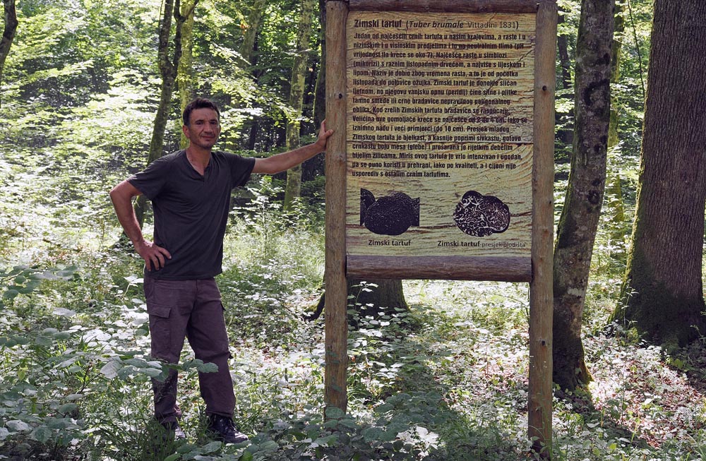 Mario Kolić, vodič