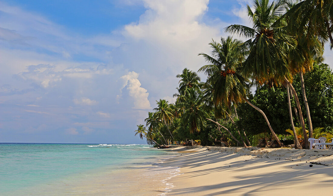 Maldivi