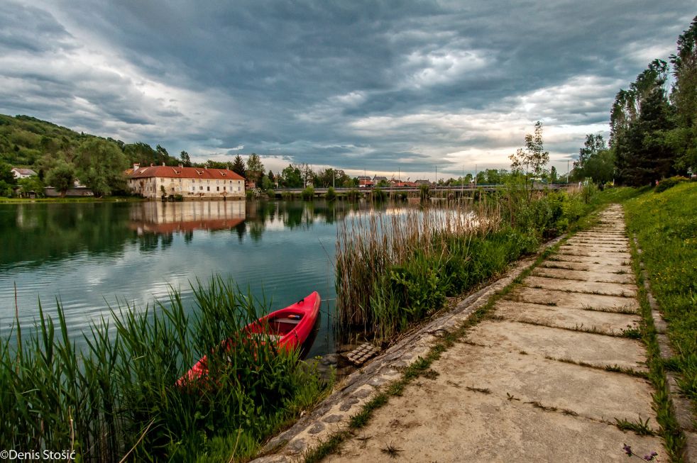 Mrežnica
