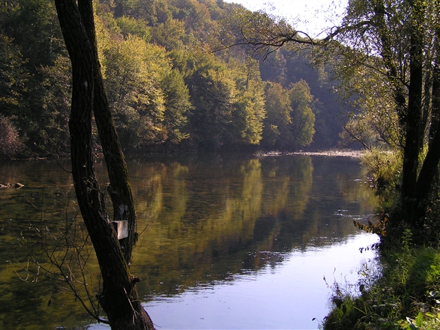 Netretić