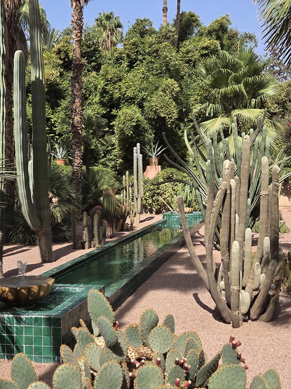 Majorelle