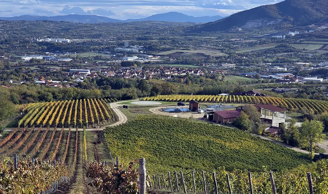 Tarpoš Aranđelovac