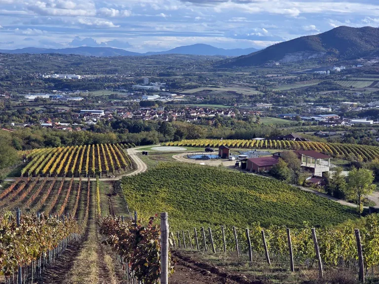 Tarpoš Aranđelovac