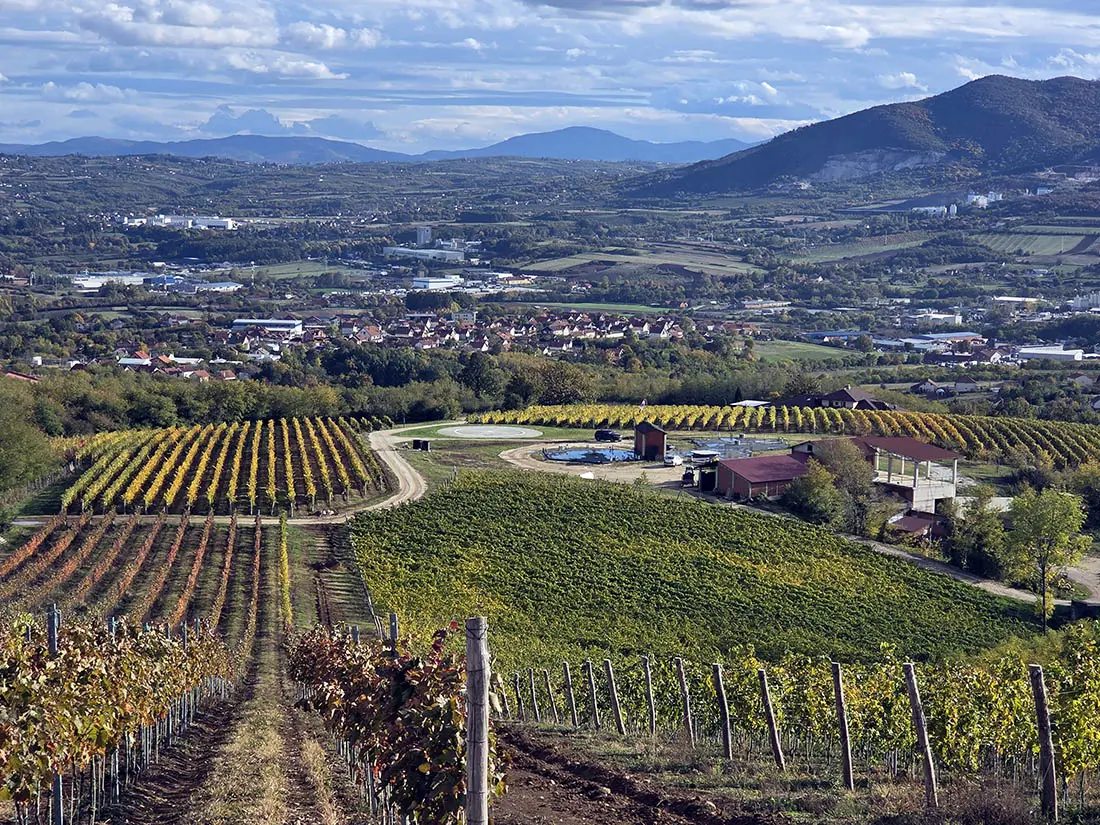 Tarpoš Aranđelovac