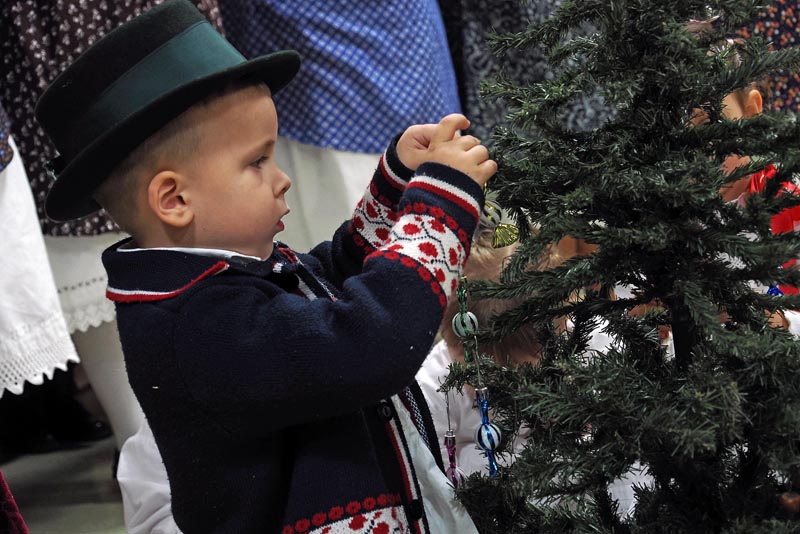 Lipovac, dječak kiti bor
