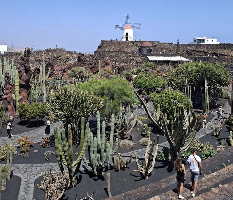 Studentski Lanzarote