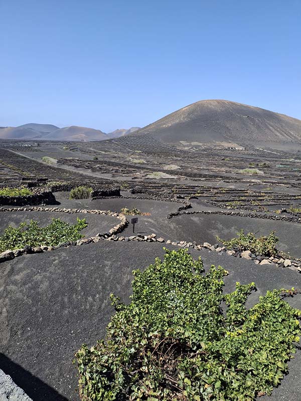 La geria