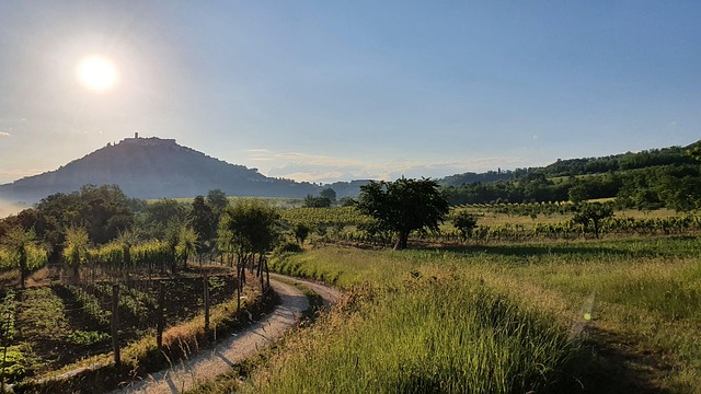 Motovun