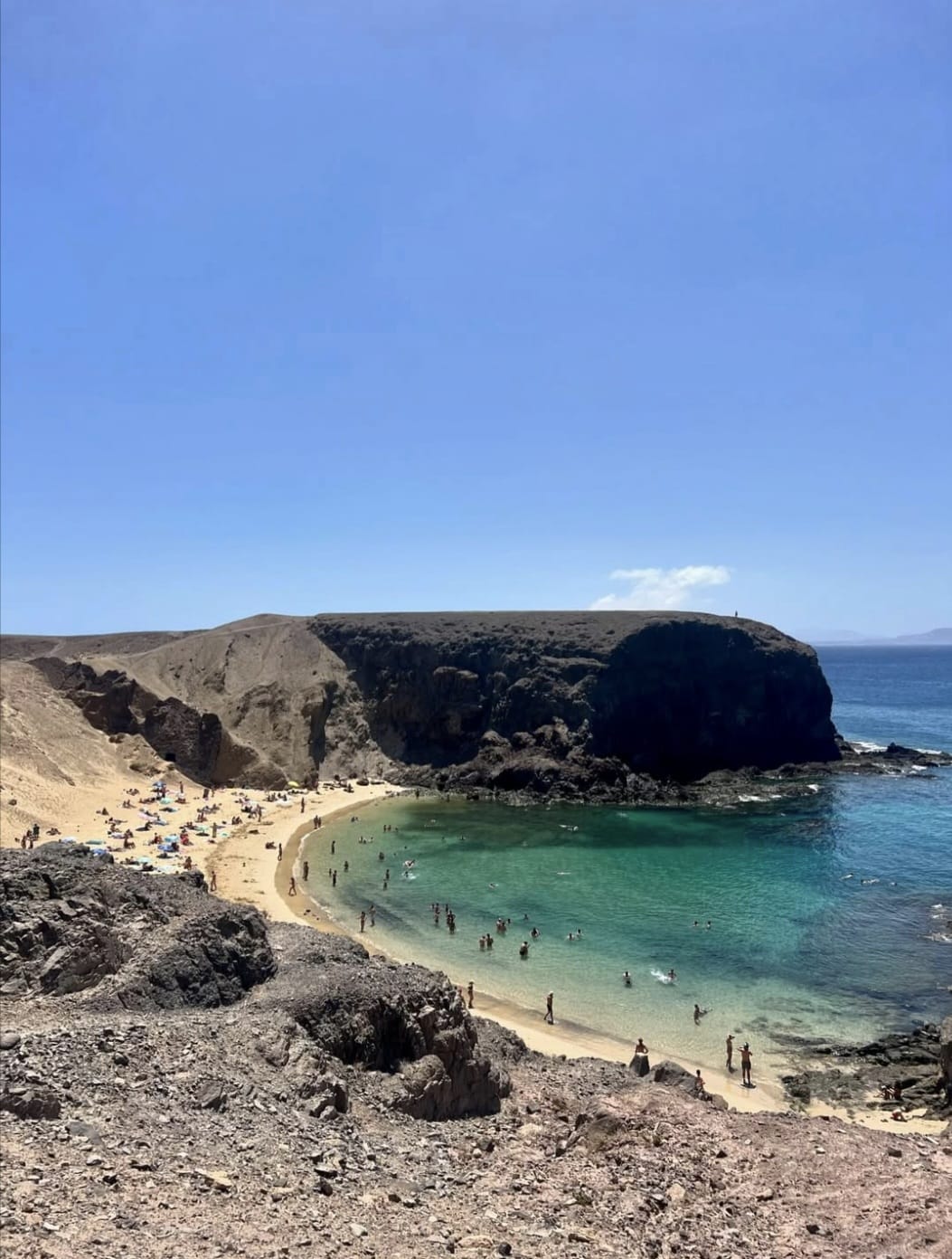 Papagayo
