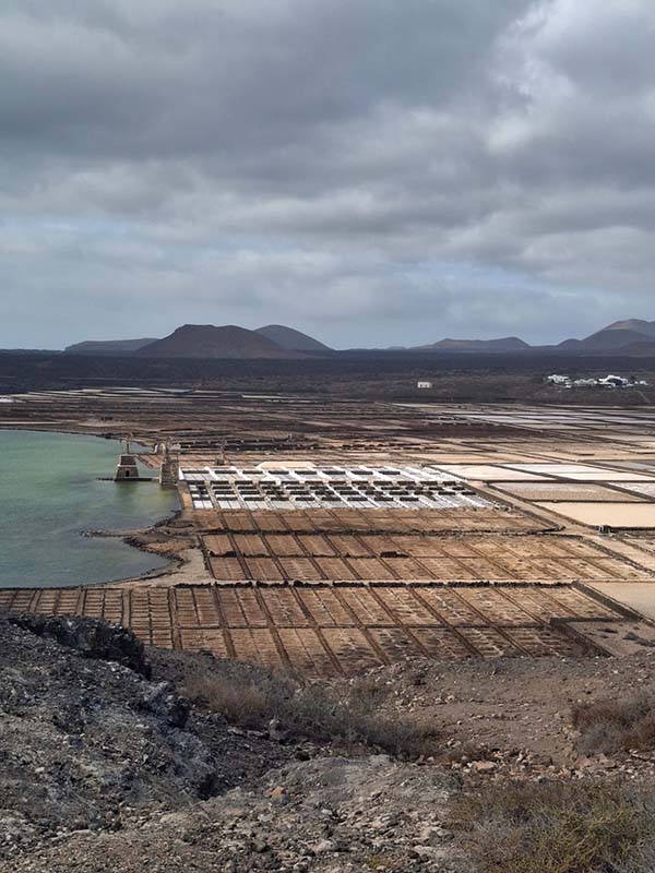 Studentski Lanzarote