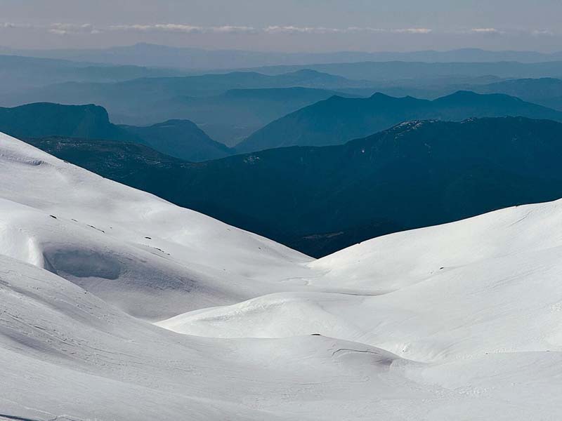Novinarsko prvenstvo