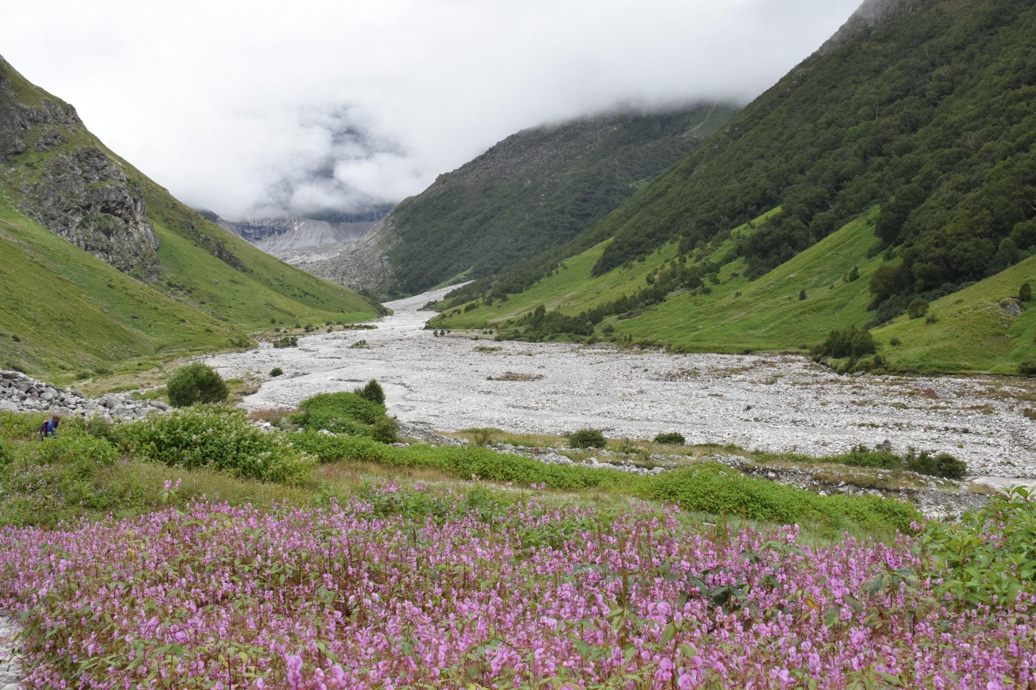 Valley of Flowers National Park - Chamoli, India