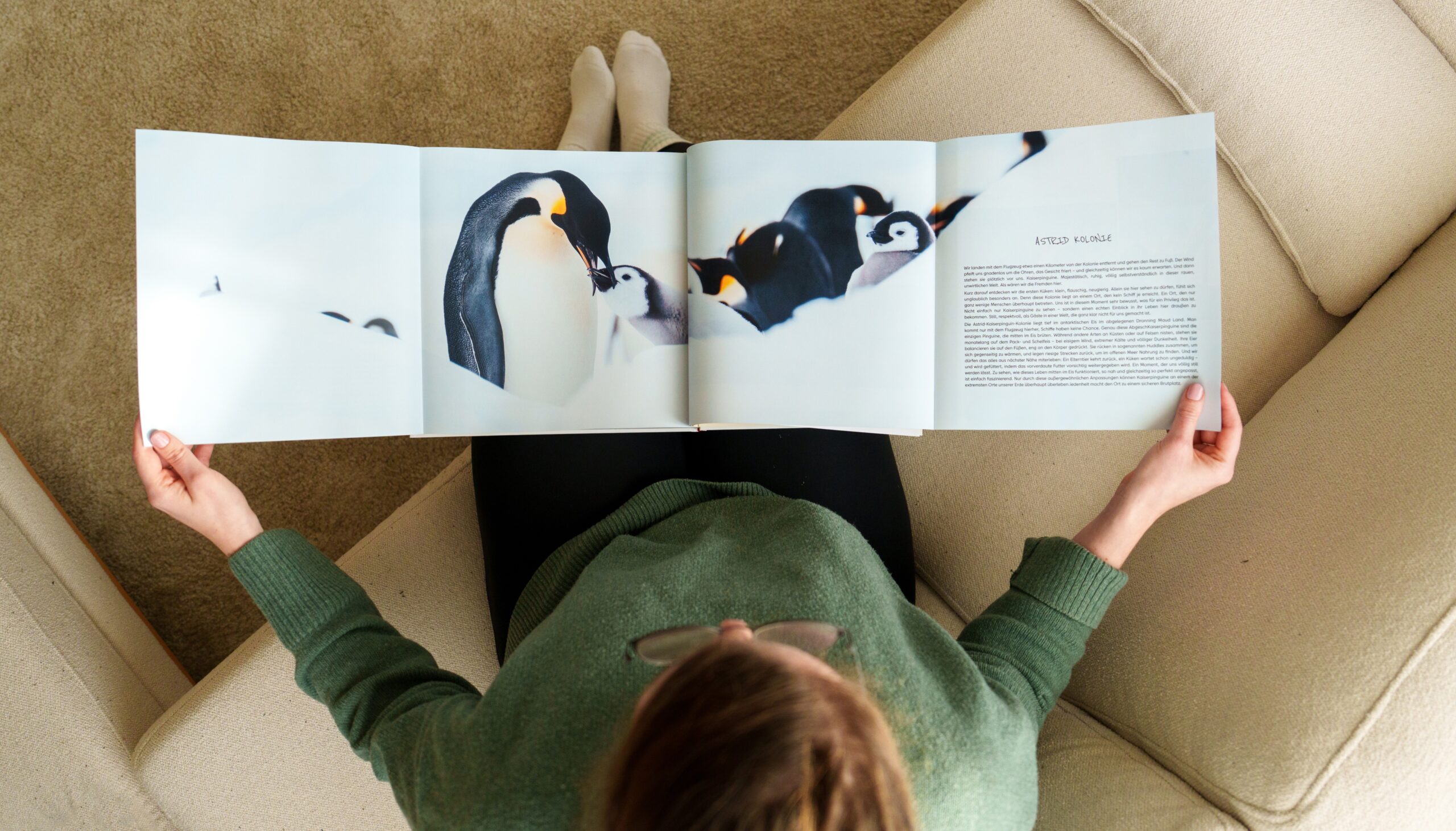 CEWE fotoknjiga panoramske stranice