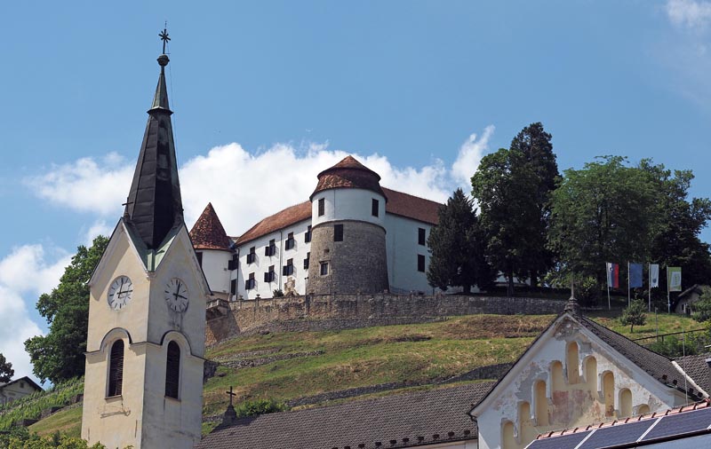 Sevnica dvorci posavja