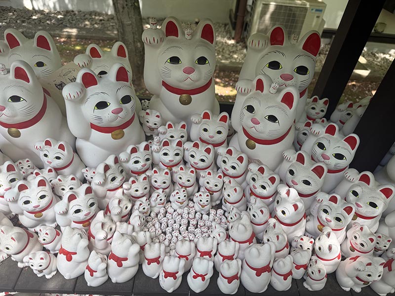 Japan u proljeće
