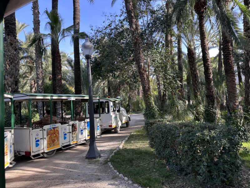 Elche
