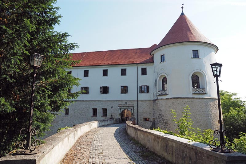 dvorci posavja
