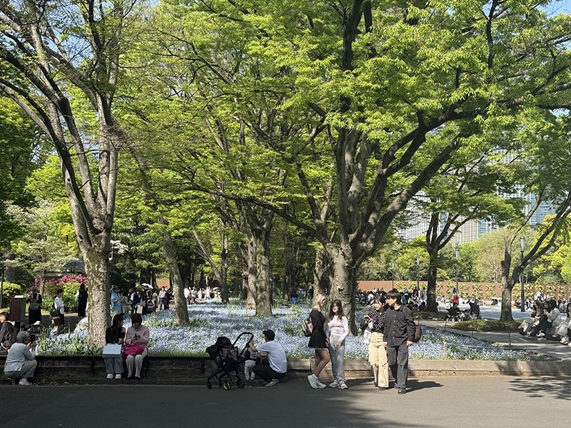 Japan u proljeće