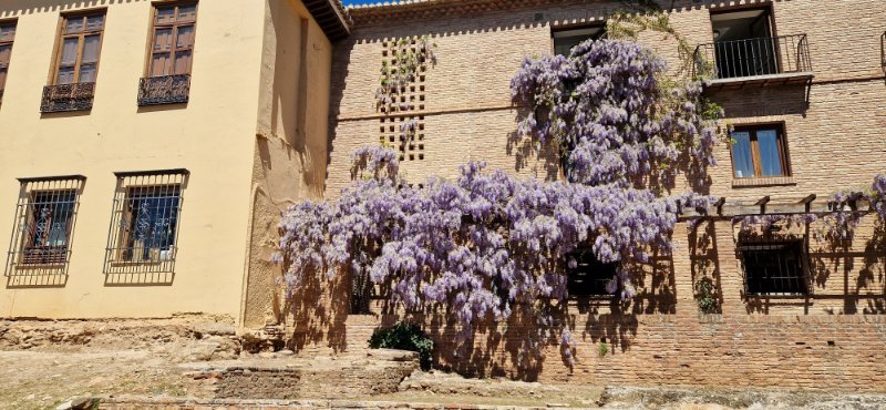 Granada