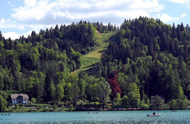 Bled proljeće