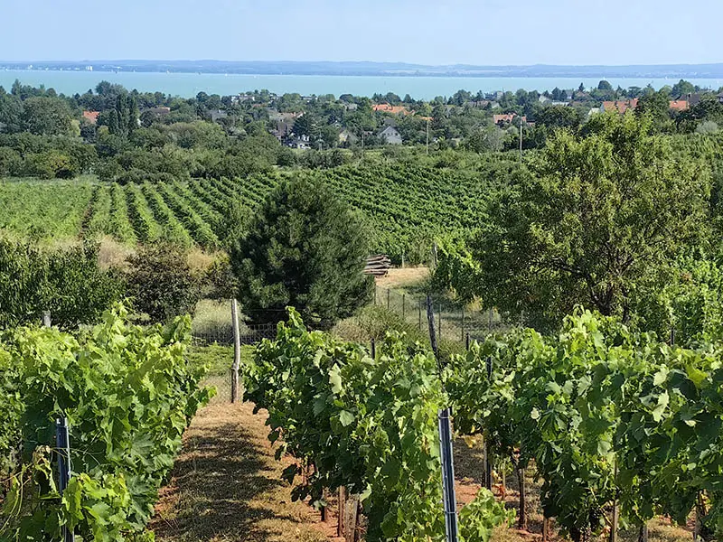 Balaton