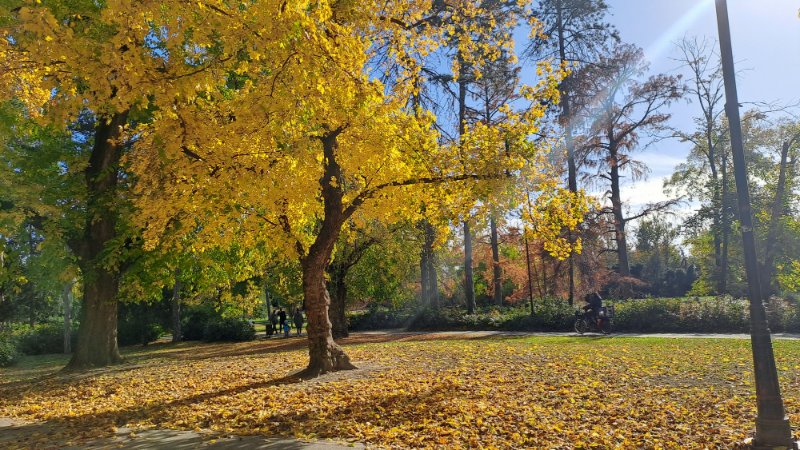 Park u Novom Sadu