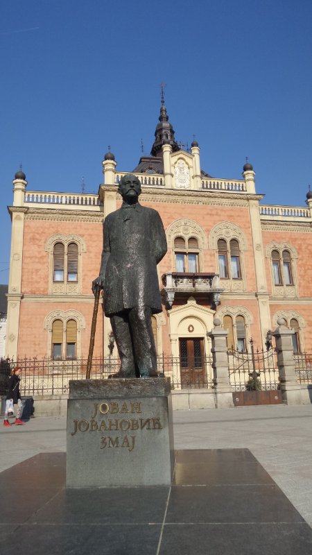 Kip u Zmaj Jovinoj ulici