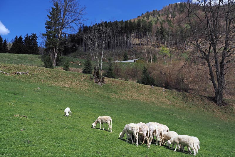 Jezersko