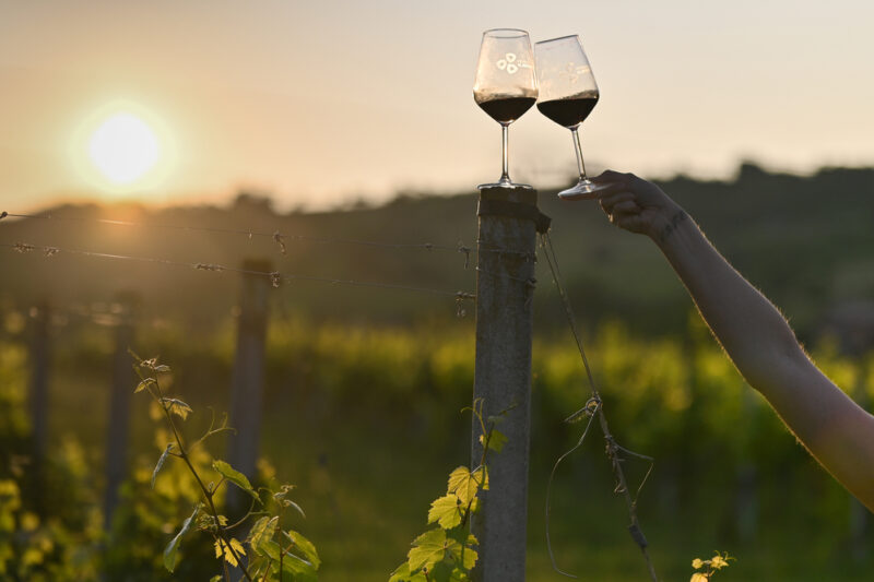 Čaše vina uz zalazak sunca
