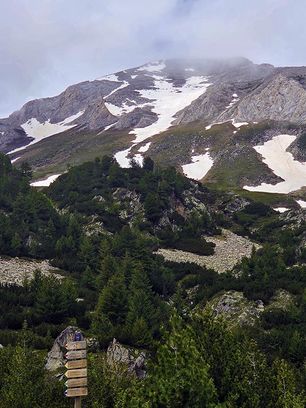Pirin bansko