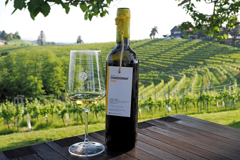 Vino u Zidanici Malek s pogledom na vinograde