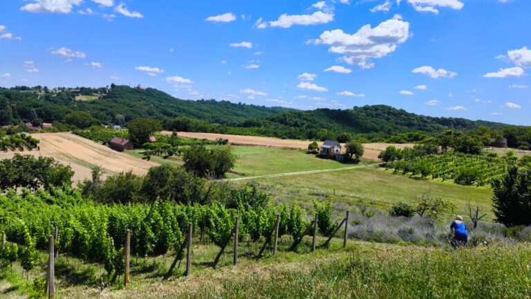 Lavender Hills