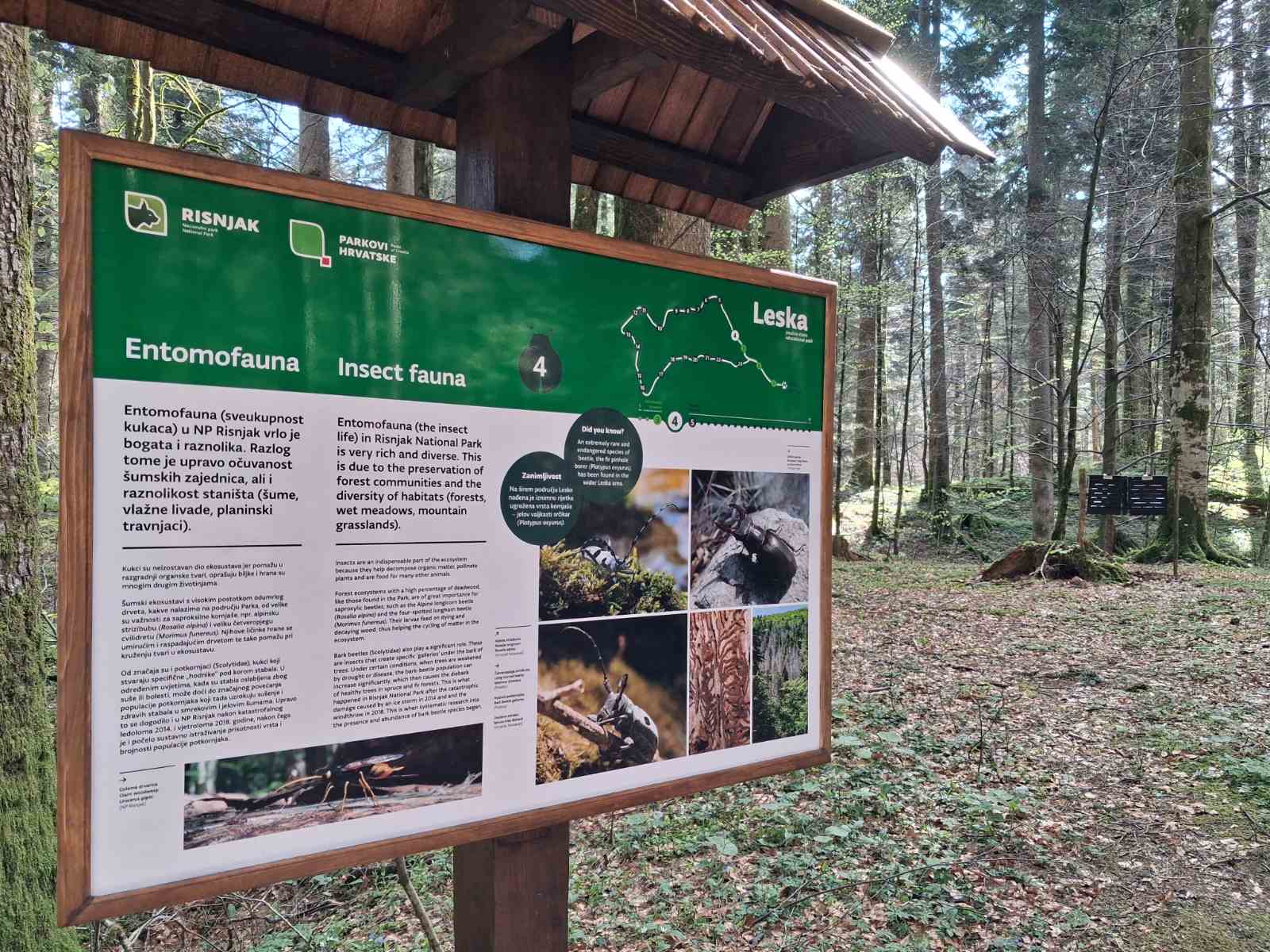 Poučna staza Leska