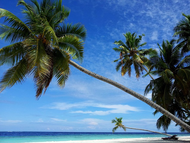maldivi