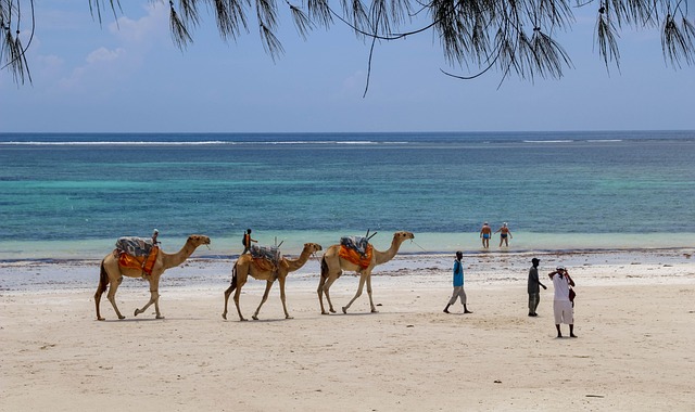 Diani Beach Kenija